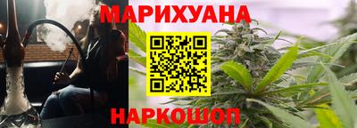 сатива Краснознаменск