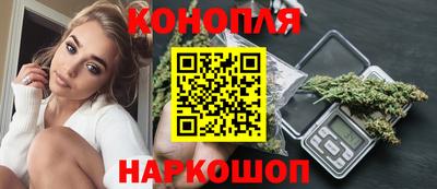 сатива Краснознаменск