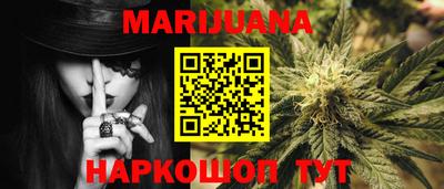 сатива Краснознаменск