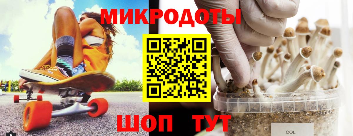 Калининград  Псилоцибиновые грибы Psilocybe  Вход с VPN 