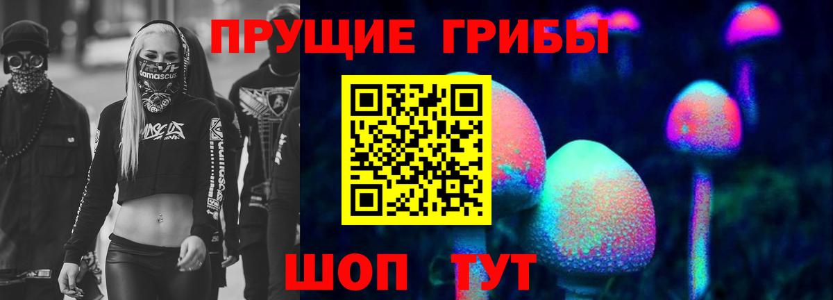 Галлюциногенные грибы Cubensis Калининград