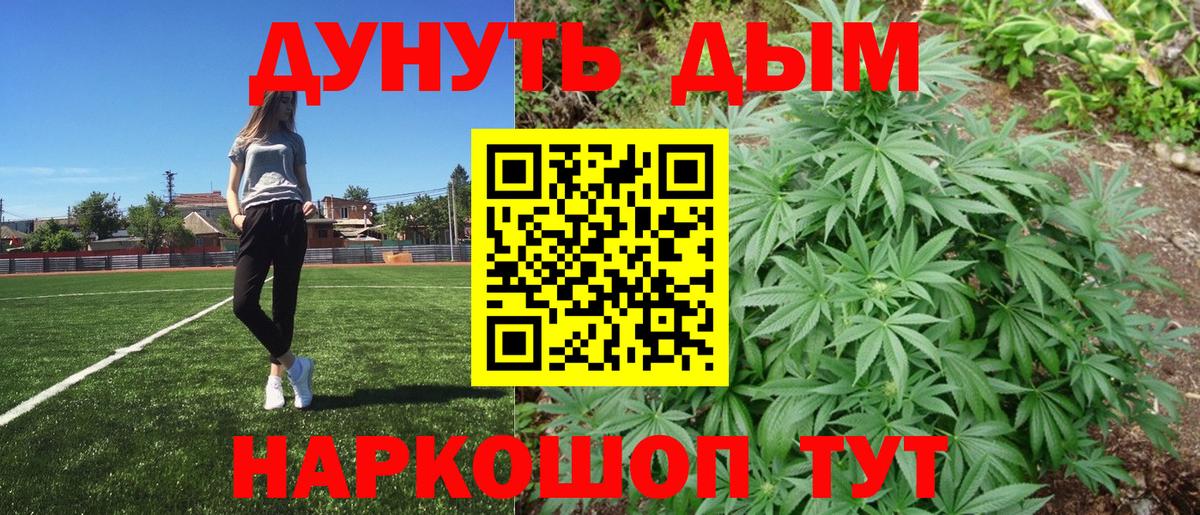 Бошки Шишки конопля Калининград